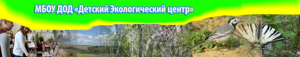 Логотип
